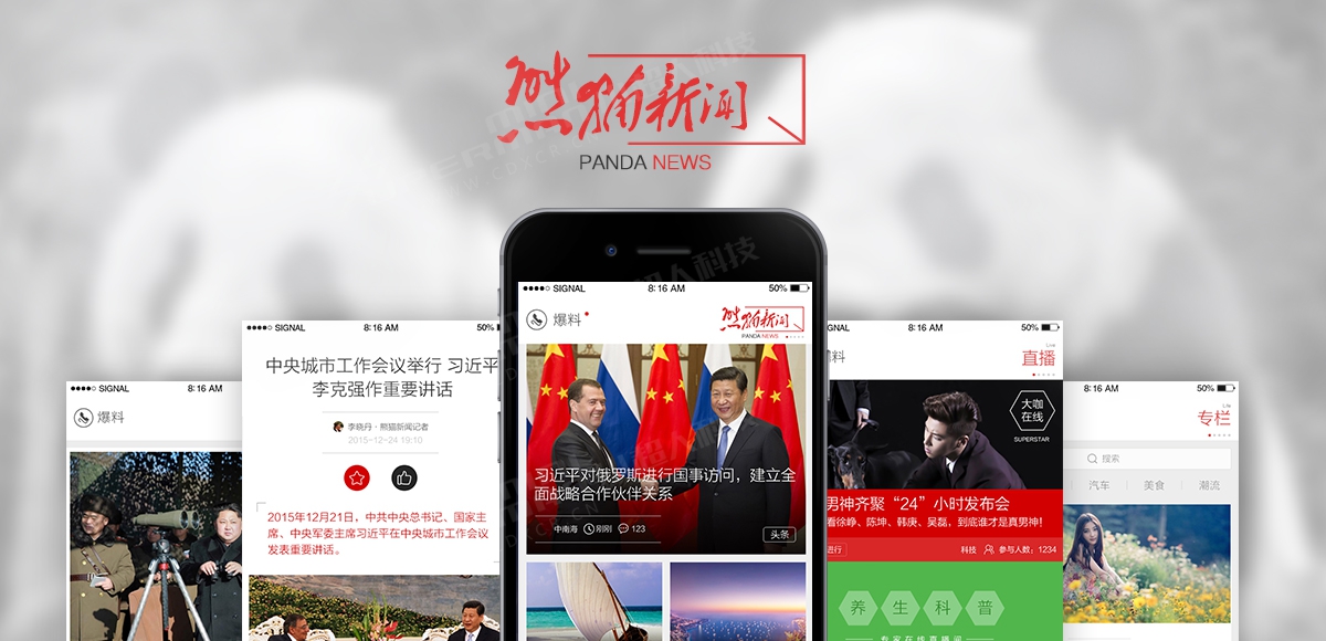 熊猫新闻案例图片