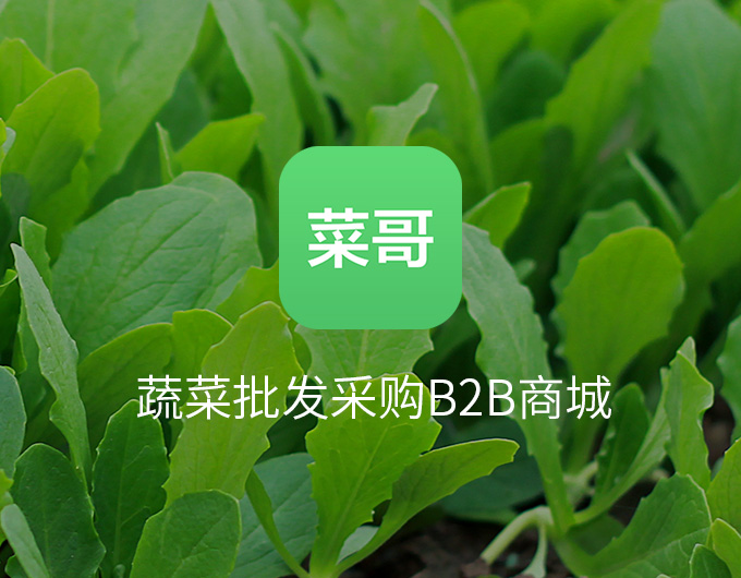 菜哥